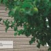 Сайдинг Ю-Пласт TIMBERBLOCK Пихта (Тимберблок) Cахалинская купить в Абакане