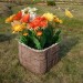 Цветник КАНЬОН купить в Абакане